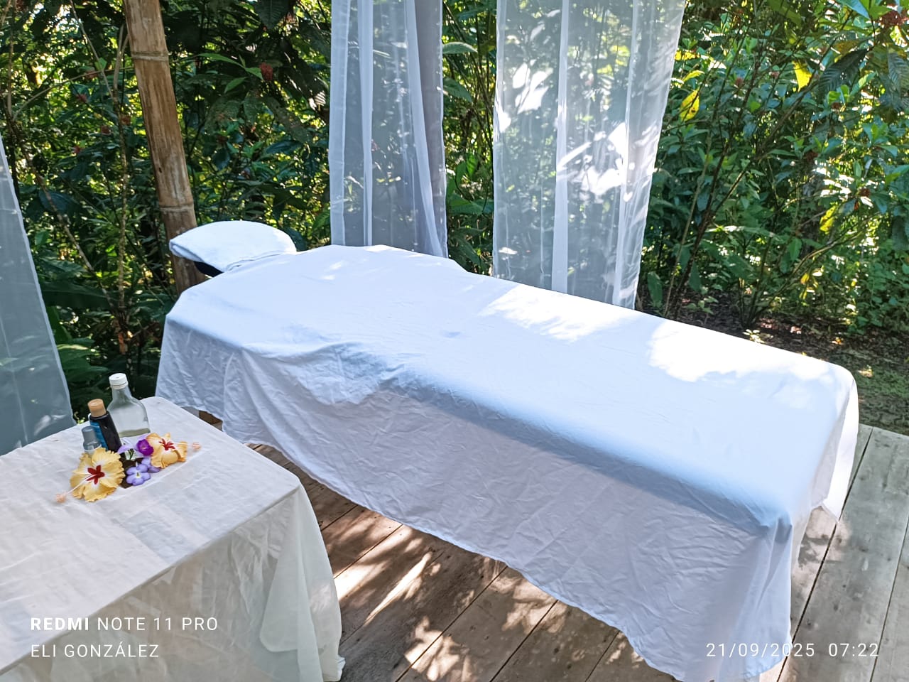 Tours de plantas medicinales, masajes de extremidades y meditación Drake