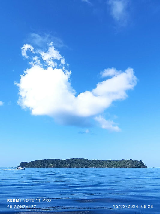 Isla del caño